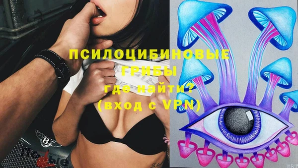 ПСИЛОЦИБИНОВЫЕ ГРИБЫ Лихославль