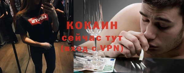 ПСИЛОЦИБИНОВЫЕ ГРИБЫ Лихославль