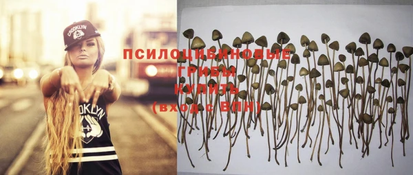 ПСИЛОЦИБИНОВЫЕ ГРИБЫ Лихославль