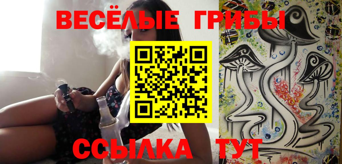 Псилоцибиновые грибы прущие грибы Майский